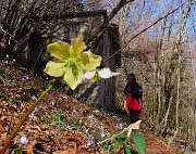 Monte Zucco ad anello fiorito da S. Antonio ABB. via Sonzogno-12 marzo 2026-FOTOGALLERY